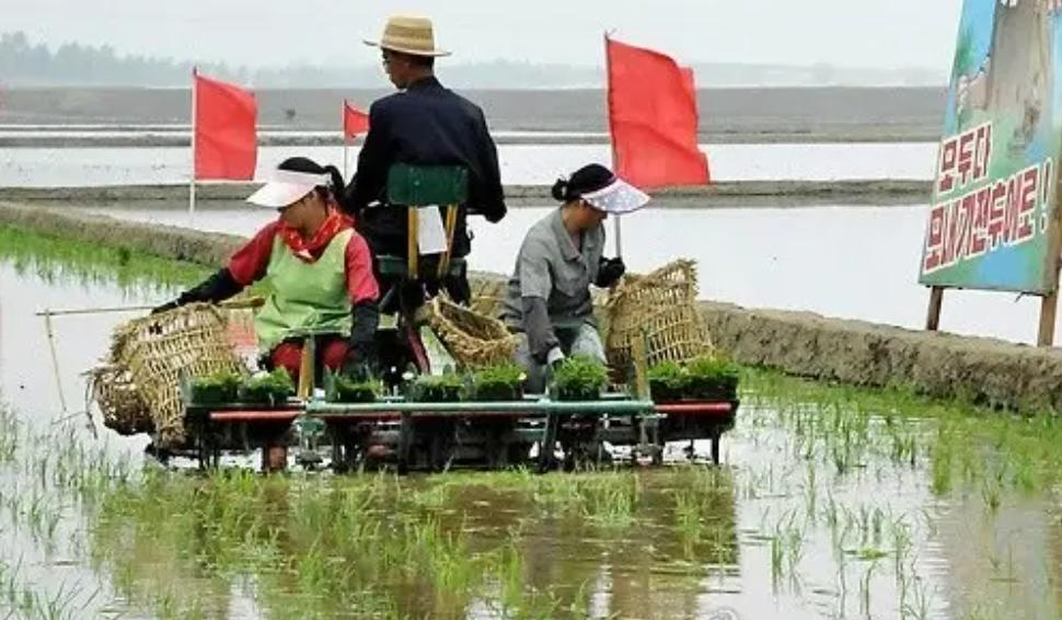 朝鲜上世纪发达吗,上世纪朝鲜经济发达时期