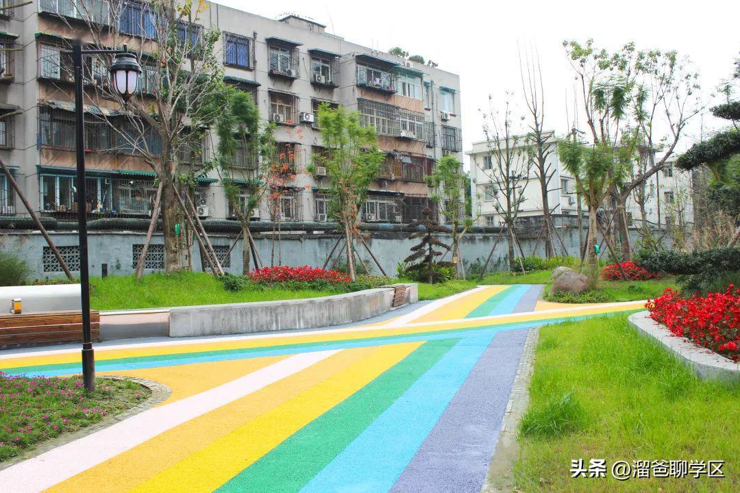 成都小学排名前十的小学,成都十大小学排名