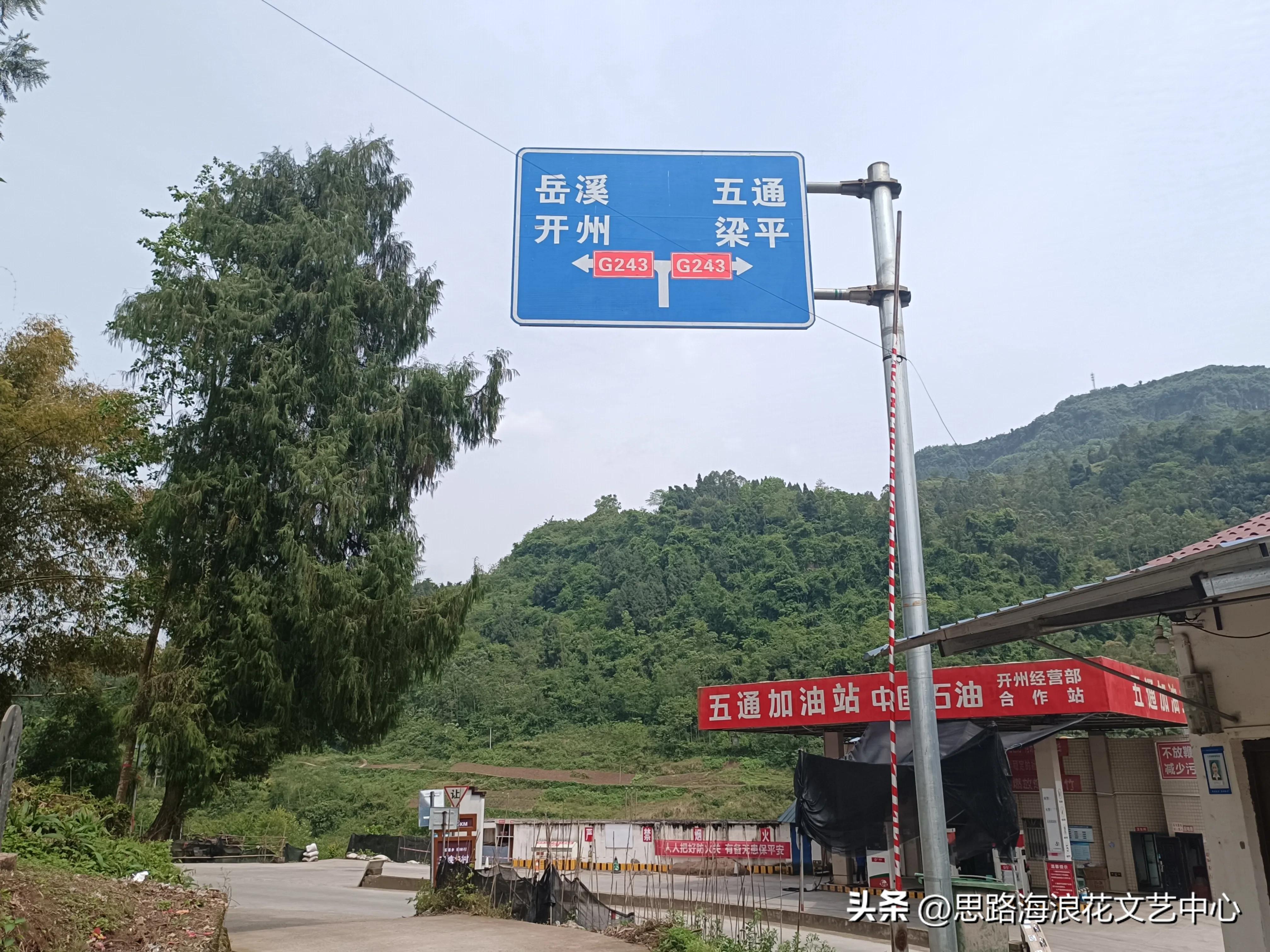 海浪花文艺,海浪花作品