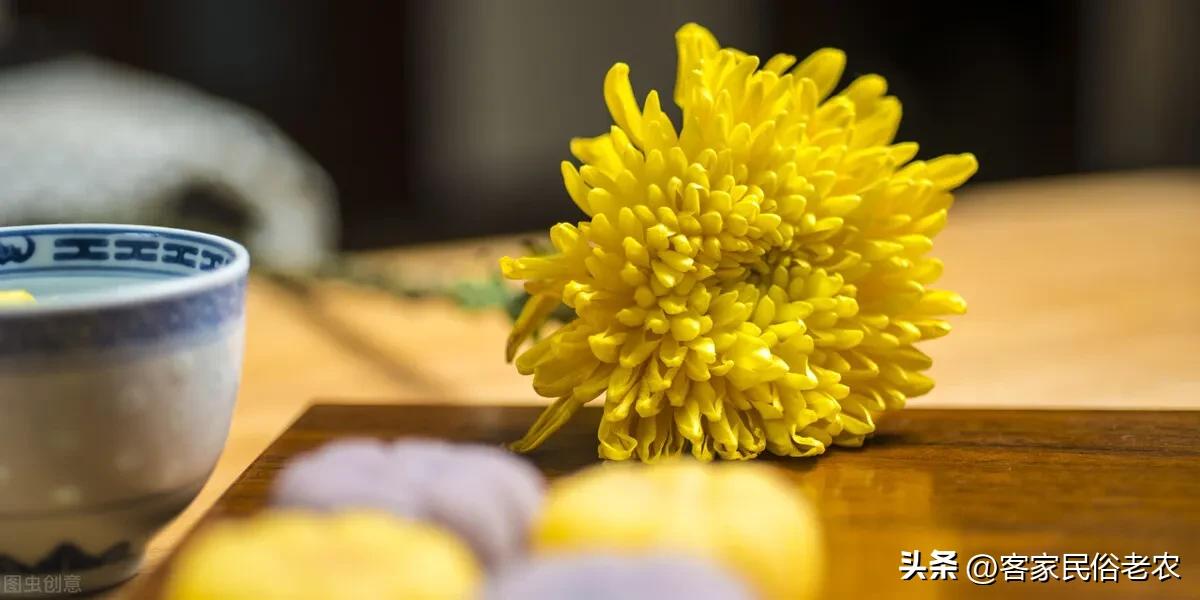 重阳节民间传说故事50字,重阳节民间传说的图片