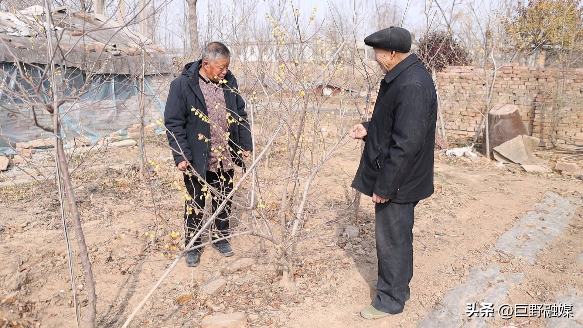巨野院子设计,巨野院子改造
