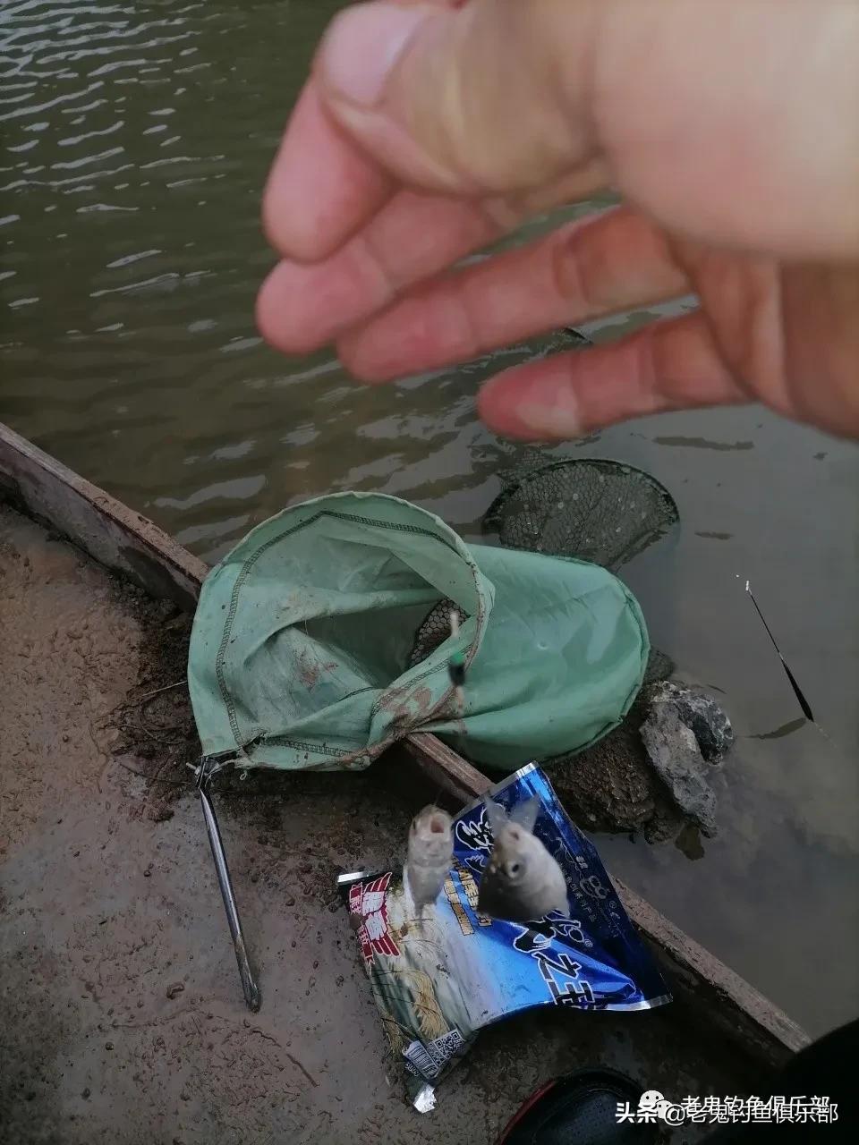 冬季小野河野钓冰钓,冬钓野河大板鲫