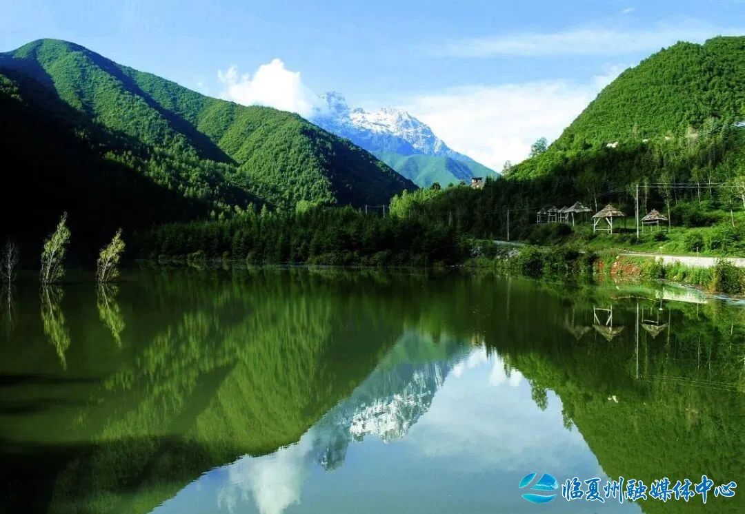 2024骞村宸磋兒閰嶈壊,缁胯壊鐨勫宸磋兒閰嶈壊