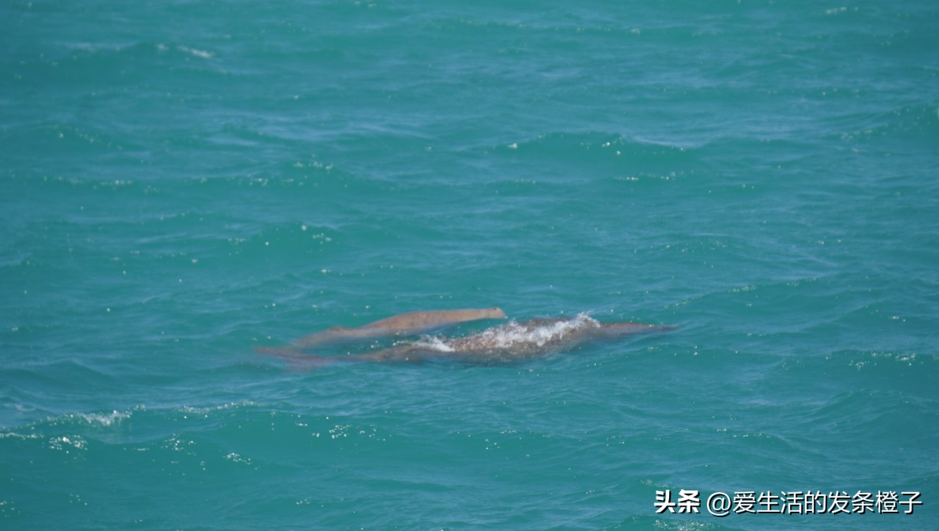 一路向北全程1980公里,西澳自驾游最佳路线图