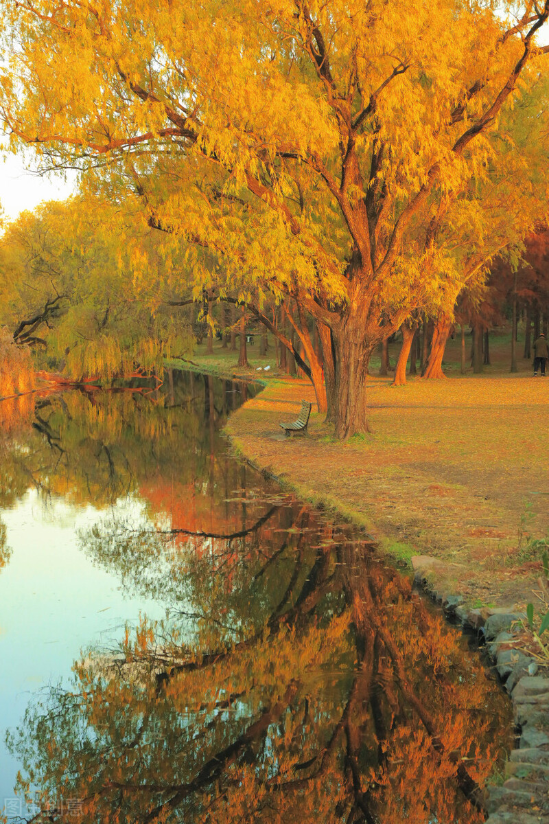 秋日上海好去处,上海秋日风景