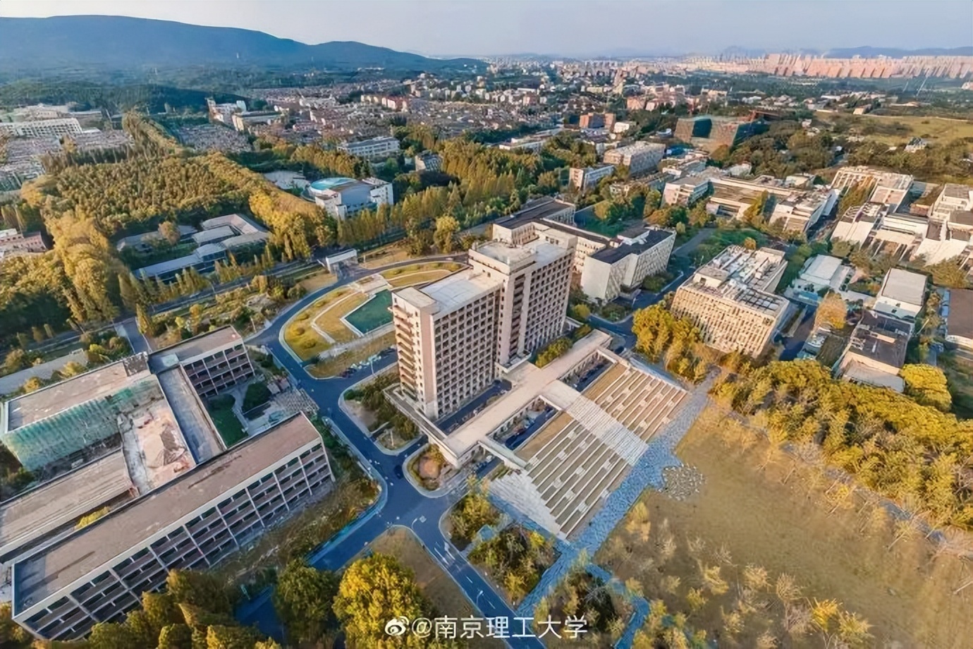 南京的法国梧桐秋天图片,南京法国梧桐秋天