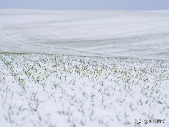 农历十一月十号是什么日子,十一月十一日农历是几号