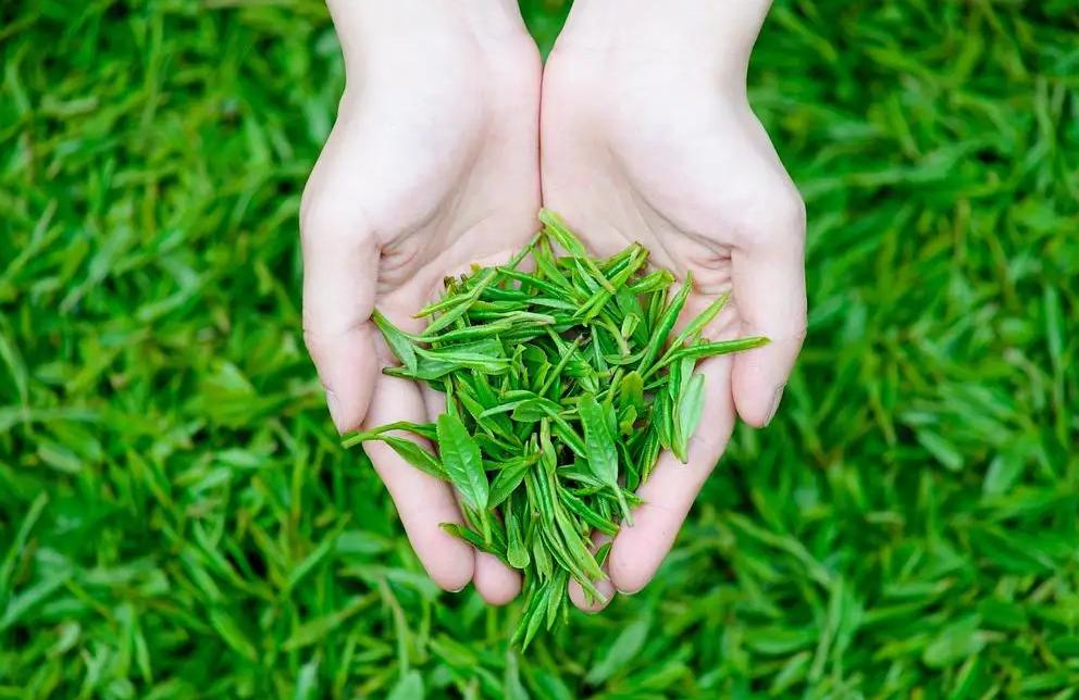 网上买茶靠谱么,为什么大部分人不选择网上买茶