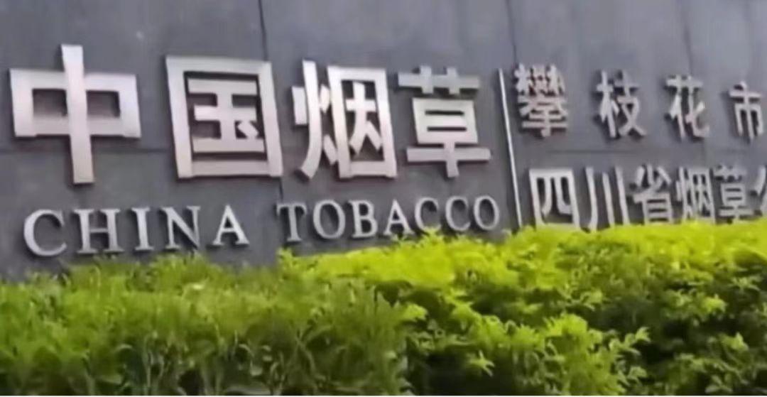 热度持续上涨！四川*草烟**竞争有多激烈？面试考情深度分析！