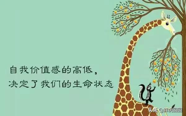 我的奇葩儿子片段,我的奇葩儿子10