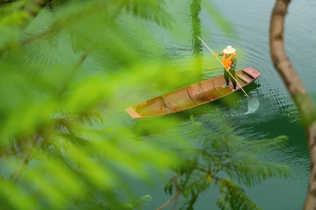 10个城市宝藏,成都还有哪些宝藏公园