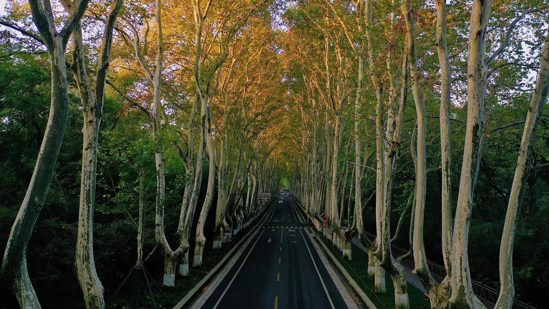 真正的朋友值得一生珍藏,属龙女一生有没有真正朋友