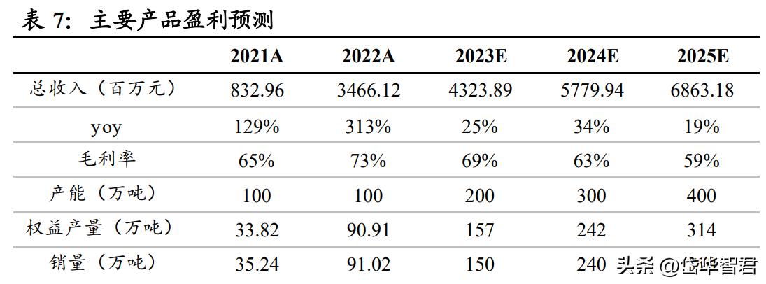 钾肥亚钾国际,亚钾国际的钾肥产能