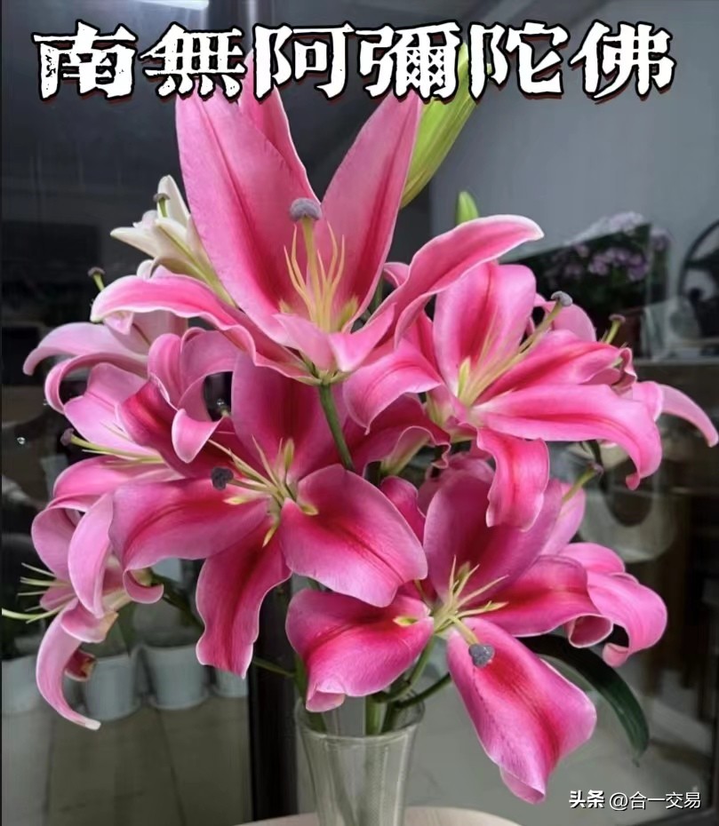 合一咨询主要做什么,合一课堂早盘策略