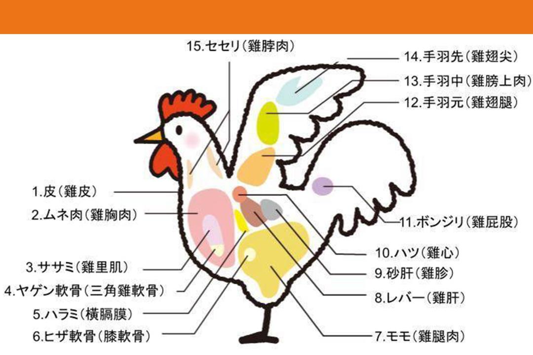 烧鸟是高端的烧烤么,烧鸟和烤串的区别