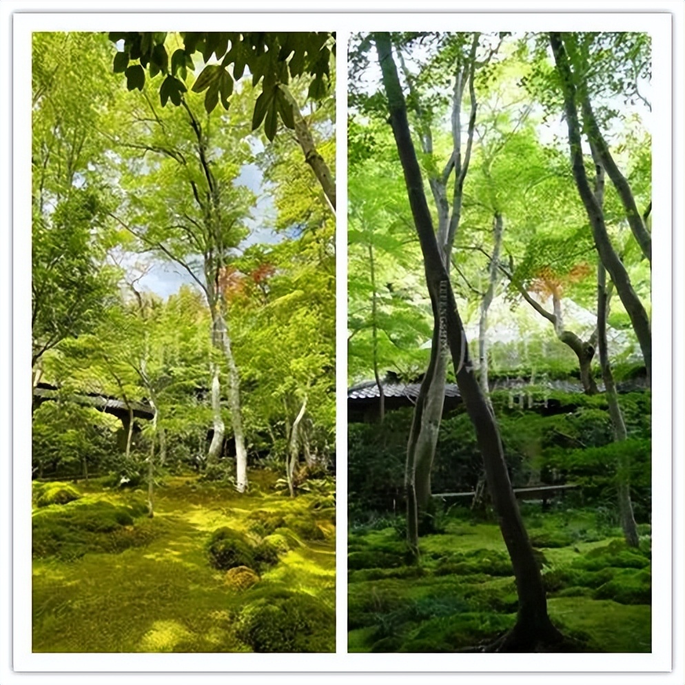 日式草坪石灯笼,日式庭院石灯笼专卖