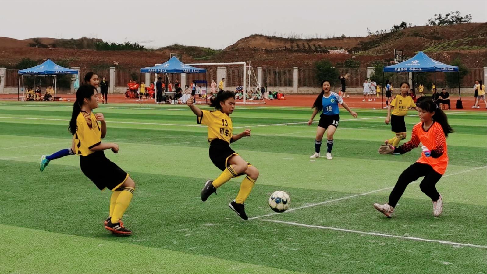 喜讯连连再获殊荣,喜讯连连硕果盈枝