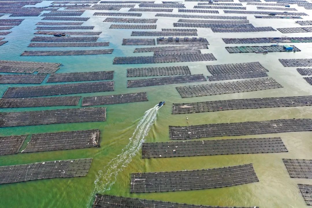 这座海滨小城可真美丽,小众旅行海边小城市