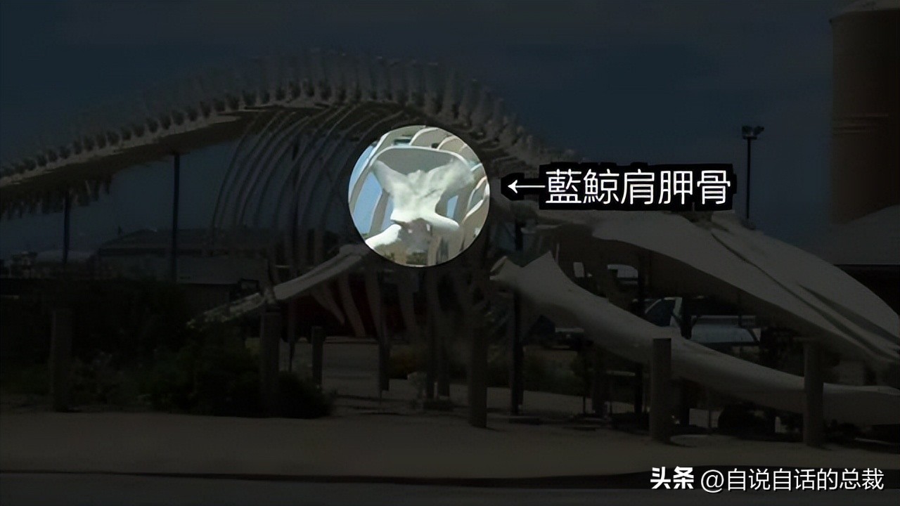 美洲发现象形文字,美洲发现中国古文