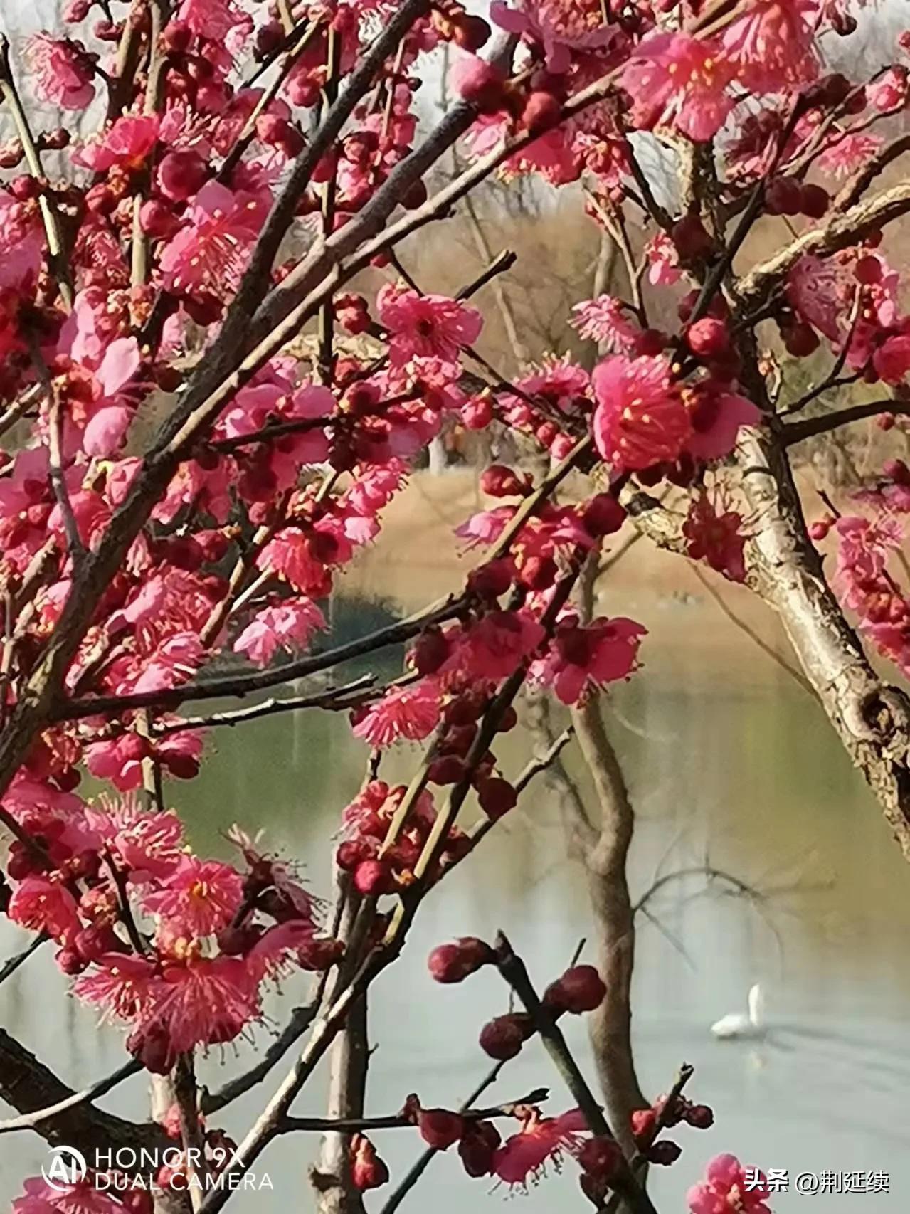 漫游黄山,漫游梅兰芳纪念馆
