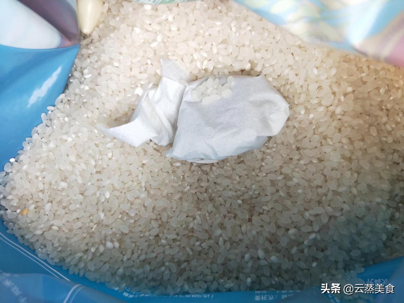 米怎么保存防生虫,米怎么样保存不会生米虫的妙招