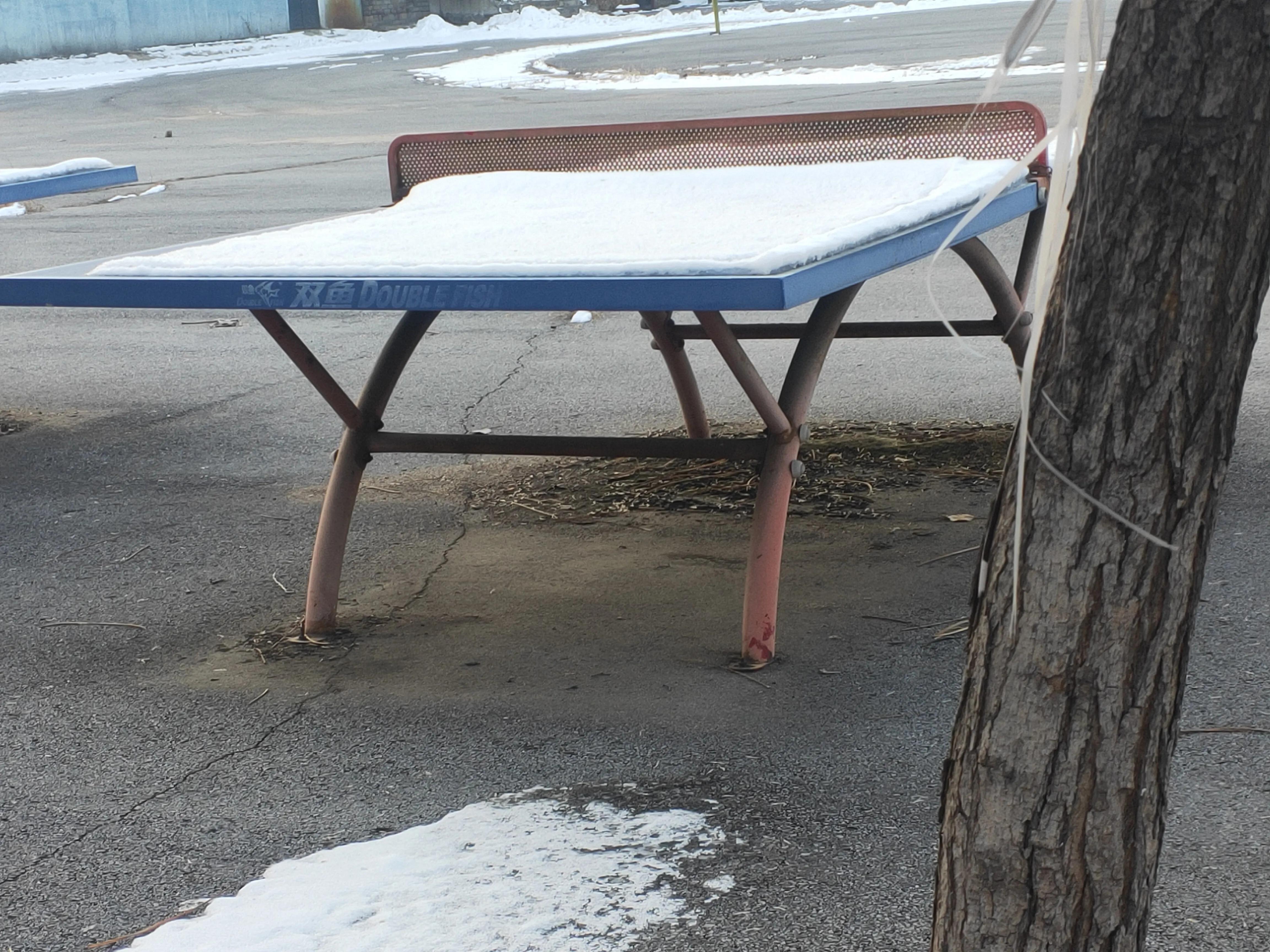 热身服乒乓球,蝴蝶乒乓球衣