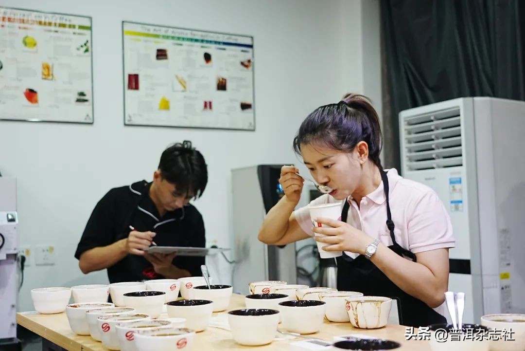 观云台丨云南咖啡是否“香精豆”?我们采访了8位资深从业者……