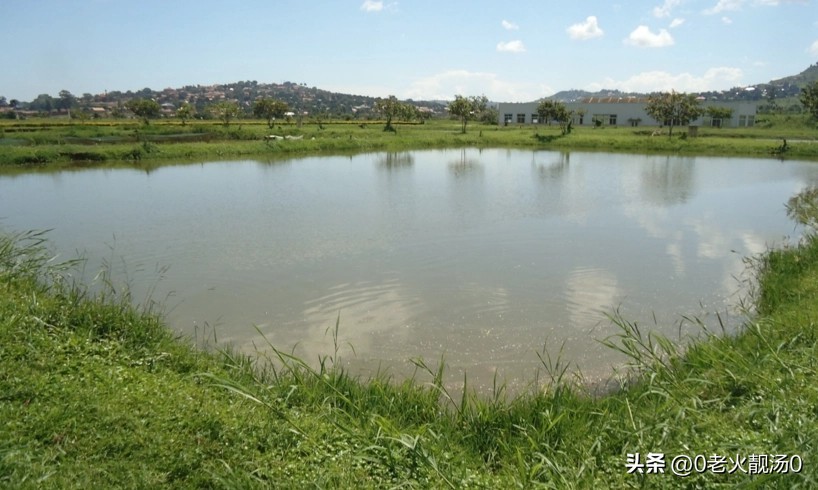 创业致富赚钱的秘密,创业有哪些小秘密