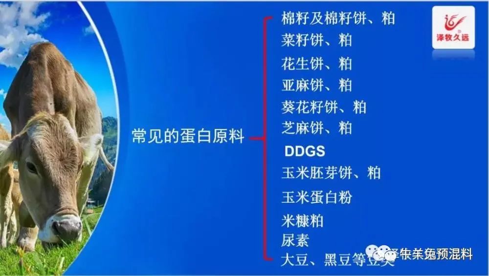 豆粕暴涨严重影响养猪业,豆粕疯涨能用什么替代