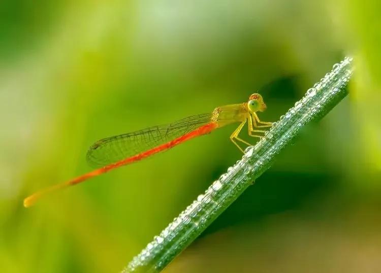 干部的使命与责任,当代党员的责任与使命
