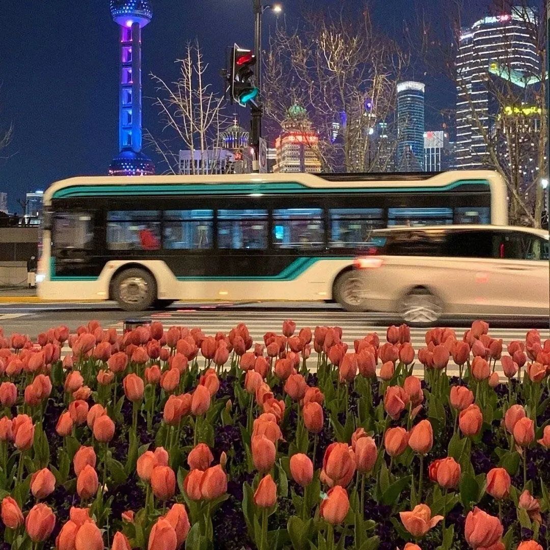 背景图ins风鲜花,ins复古黑色鲜花壁纸