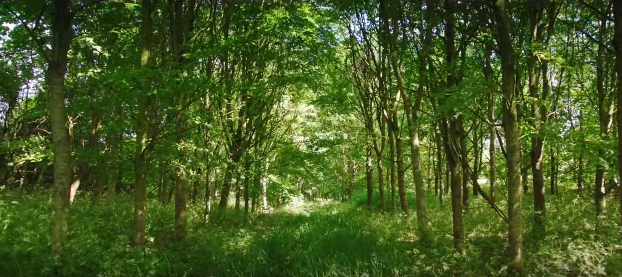 英国富豪农场纪录片,英国富豪农场主纪录片