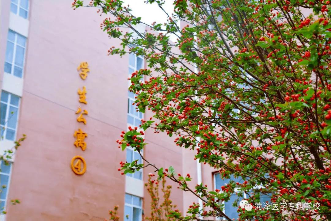 菏泽医学专科学校最新消息,菏泽医学专科学校要变本科了么