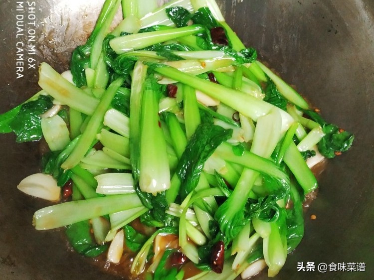 不吃肉的五种菜,不吃肉的全部作品