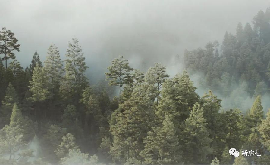 合生缦云广州现状,合生缦系广州