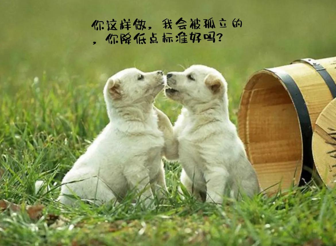 爱你小笑话,幽默小笑话大全笑哭你