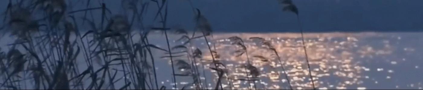 玫瑰岛共和国历史意义,玫瑰岛共和国建立的意义