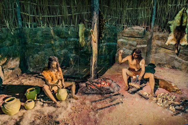 人类探索宇宙奥秘资料,人类探索宇宙生命的经历