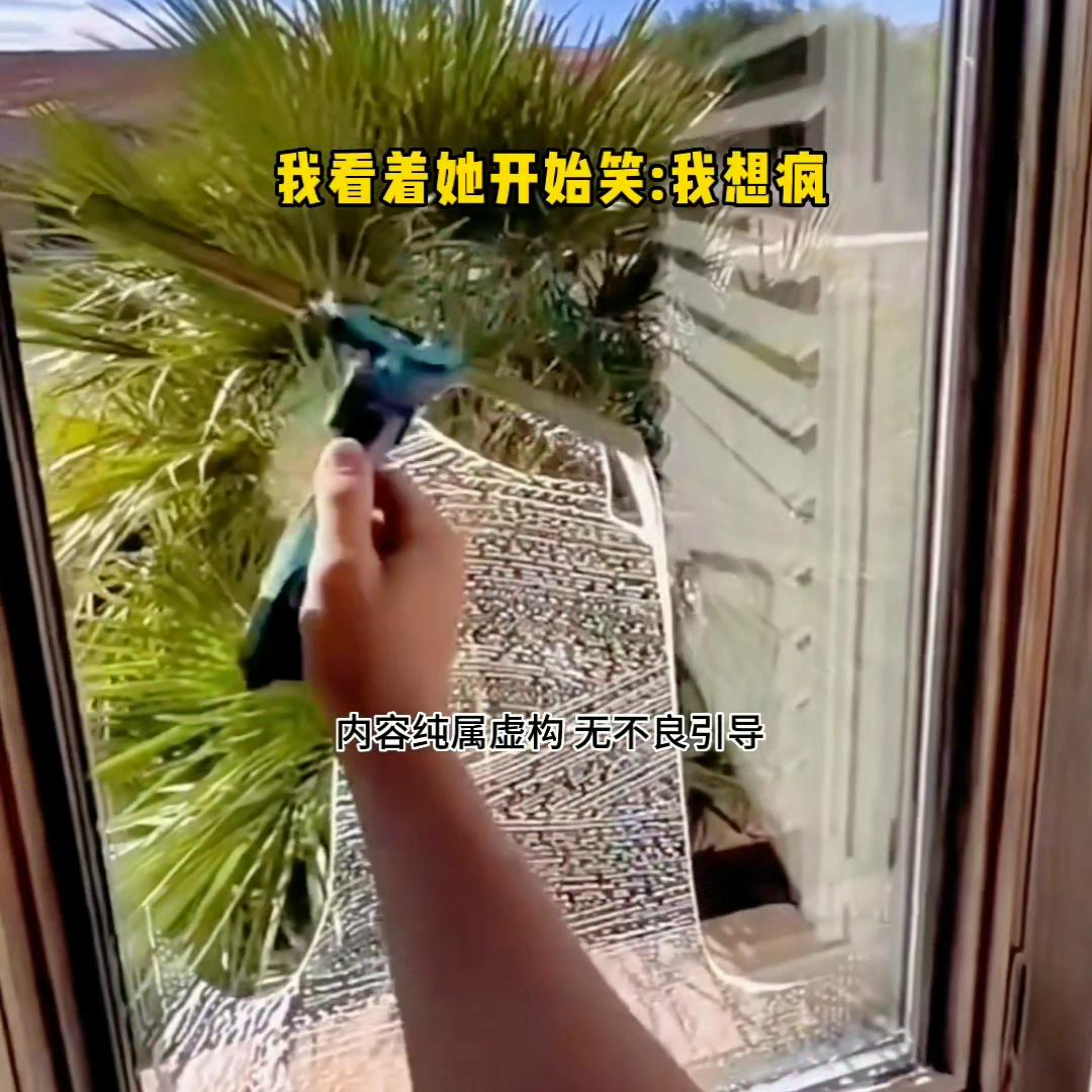 推文超好看小说番茄,推文超好看小说