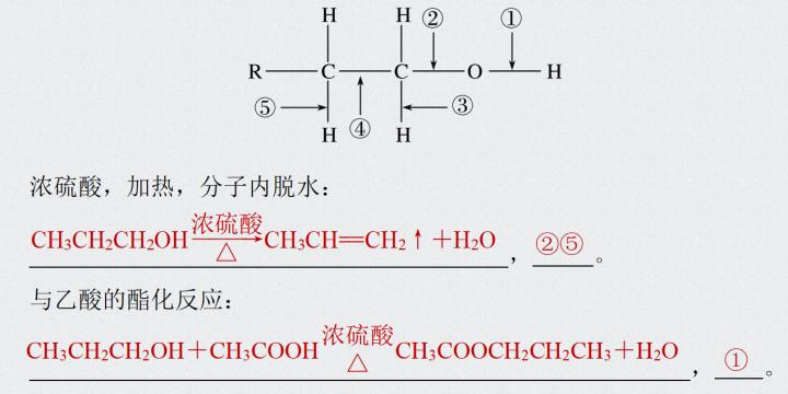一篇文章看懂化工产业建议收藏,高中有机化学全套讲解书