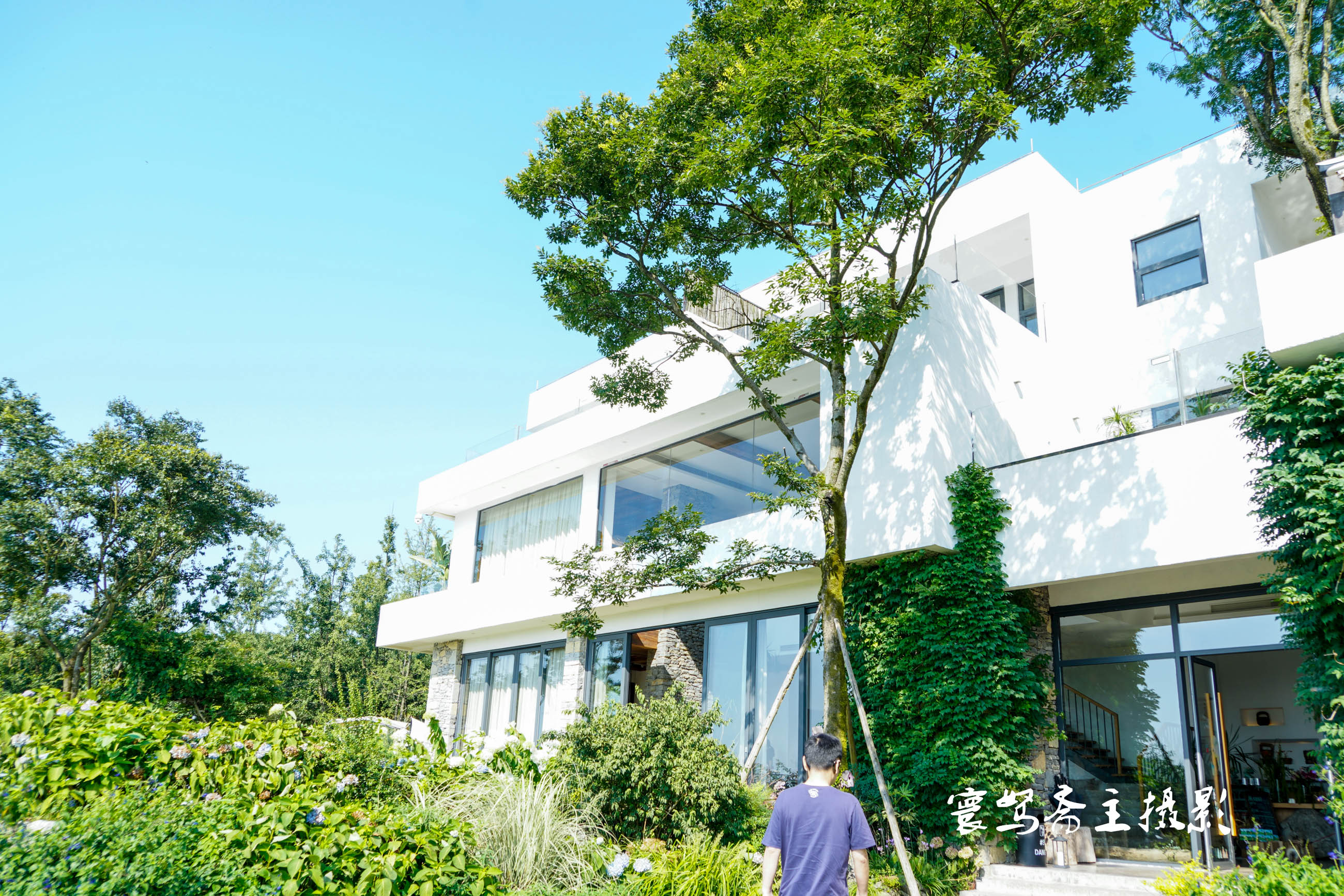 重庆静观柴火鸡,静观陈氏柴火鸡