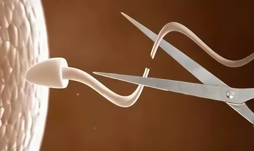 人工流产注意事项及术后康复,人工流产手术危害与风险