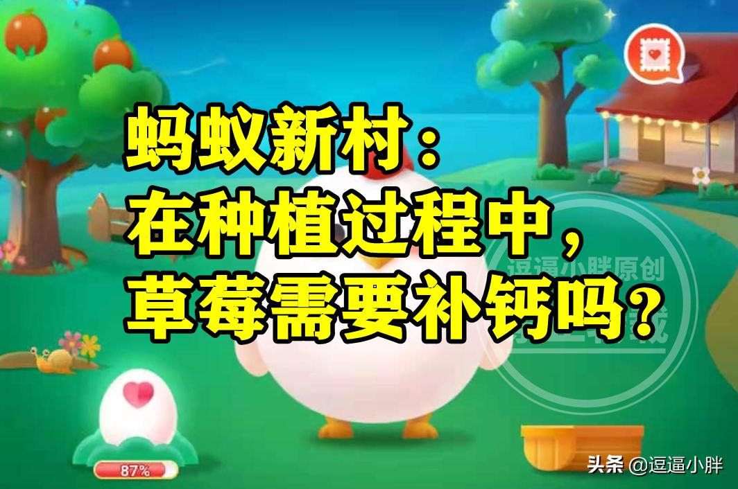 种植草莓老是有蚂蚁怎么办,草莓种植中需要补钙吗