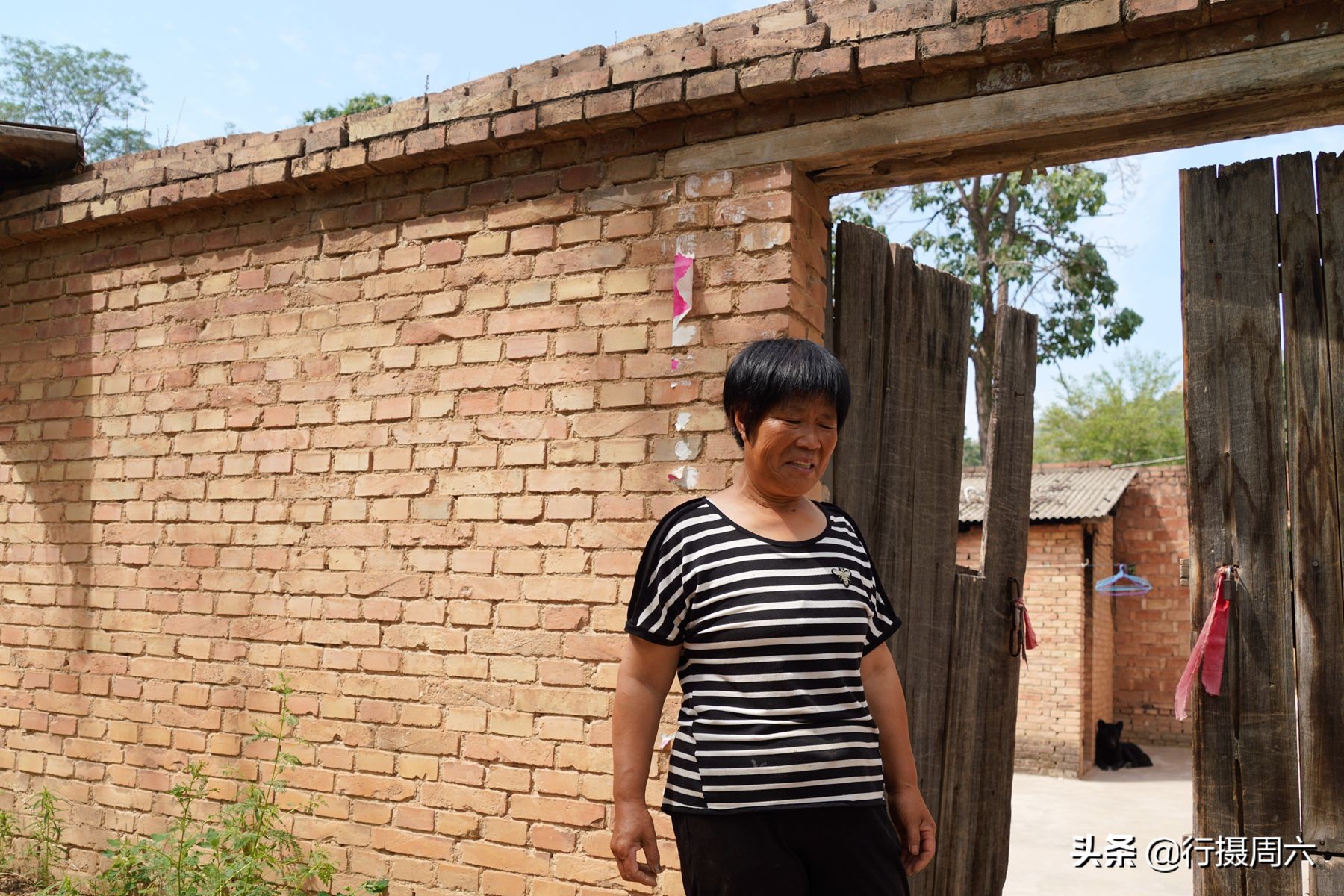 农村大姐养宠物犬,农村大姐养土狗视频