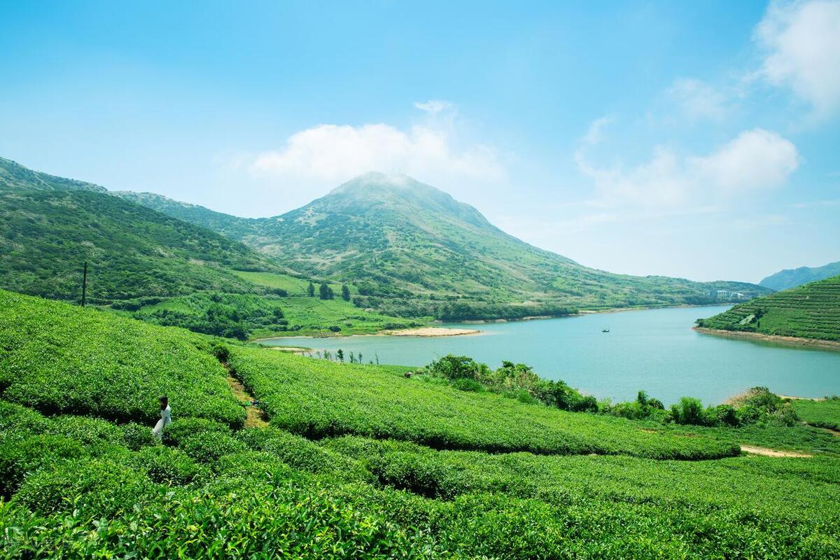 福鼎市旅游必去十大景点,福鼎旅游必去十大景点排行榜
