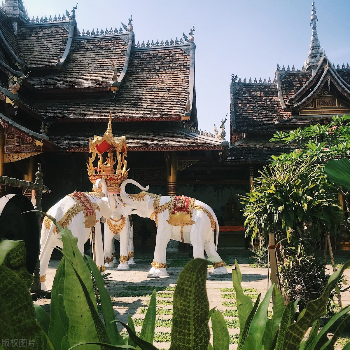 西双版纳最适合住的地方,西双版纳避寒避暑的雨林仙境