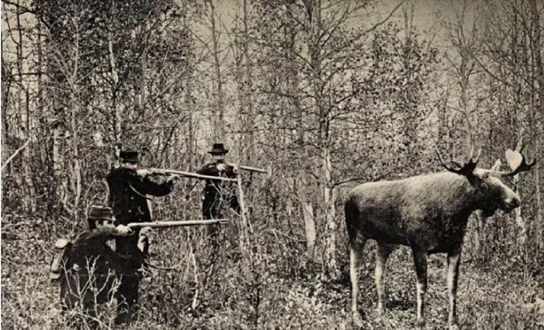 神奇动物中的山海经神兽有哪些,神奇动物中国山海经神兽