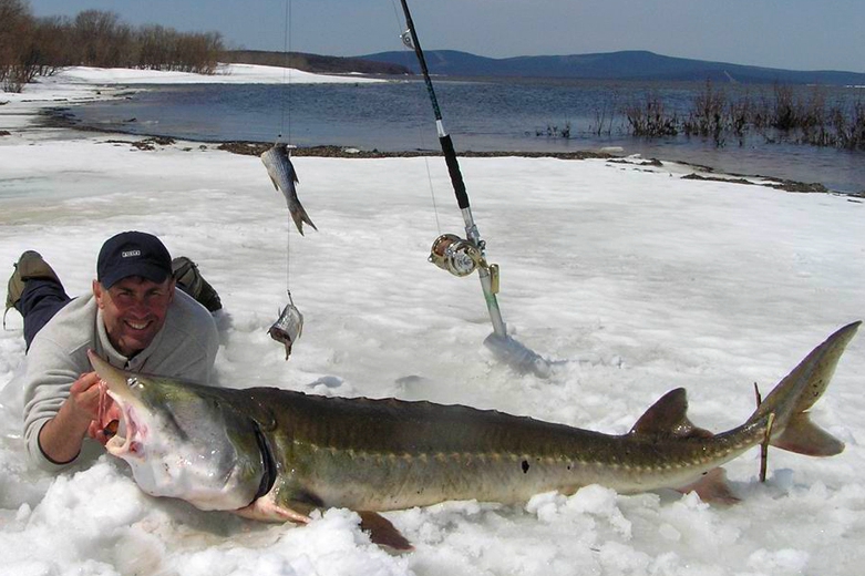黑龙江鱼类大全名称,黑龙江十大出名鱼排名