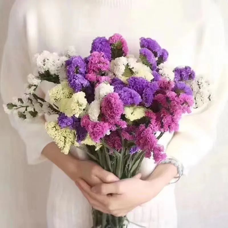 七夕将至花语怎么说,七夕送女生什么花给喜欢的女生