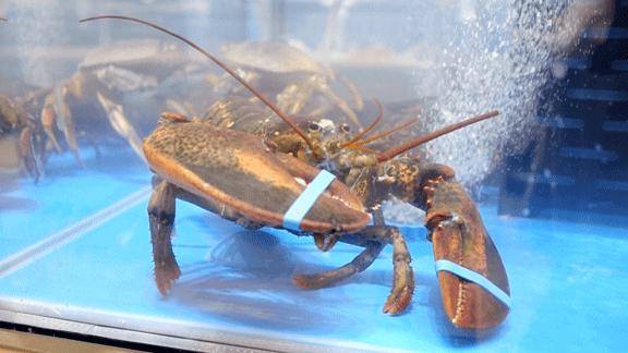 七鲜超市天津滨江购物中心店,七鲜超市天津必买